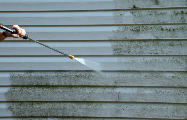 Best Deck Cleaning Services  in Richardson, TX