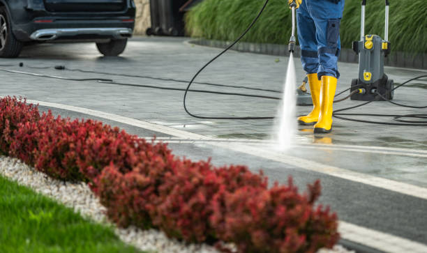 Best Roof Pressure Washing  in Richardson, TX